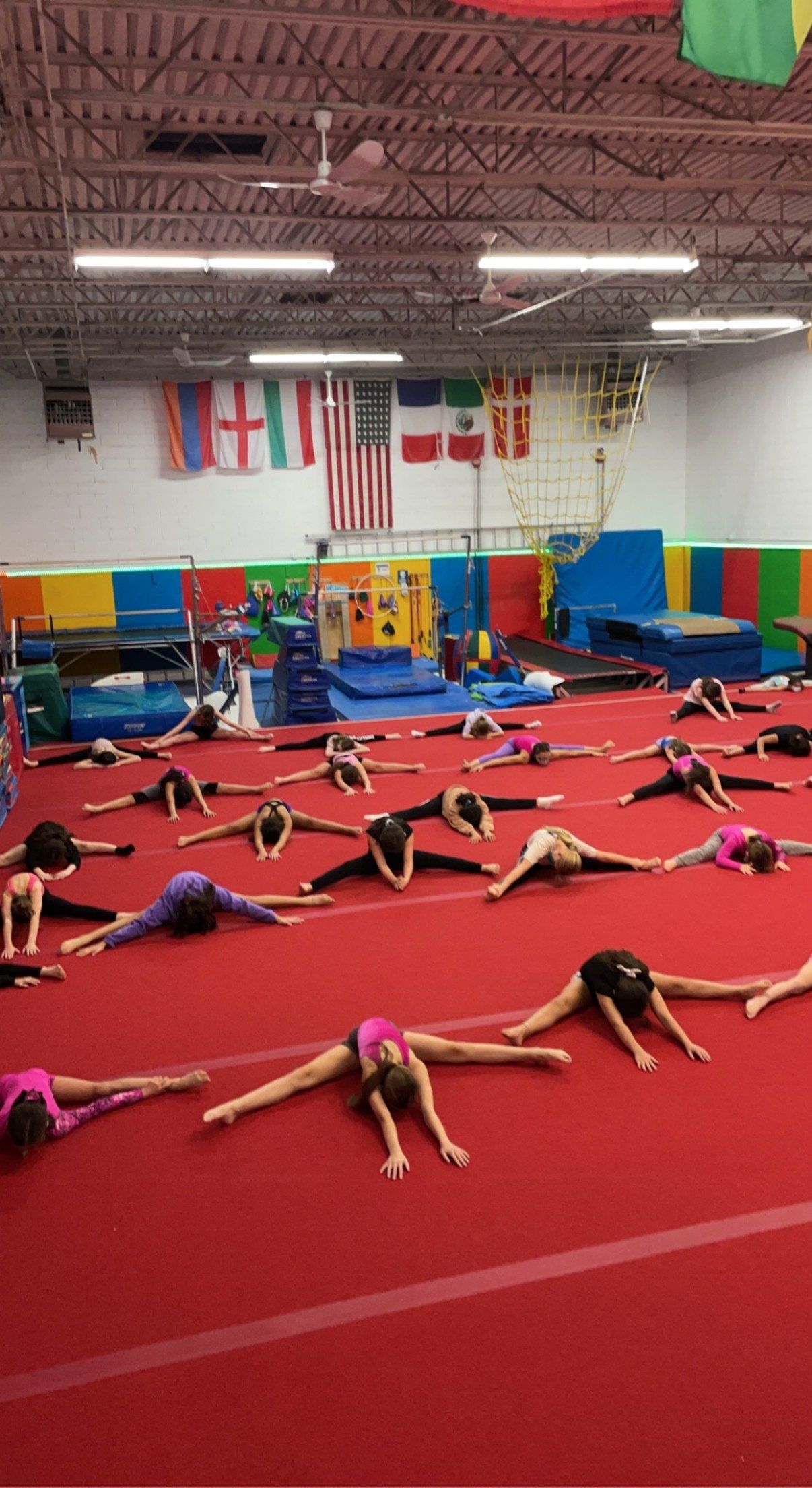 Gymnast on rings